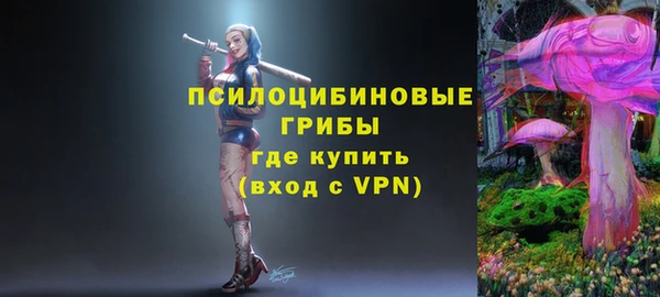 кристаллы Вяземский