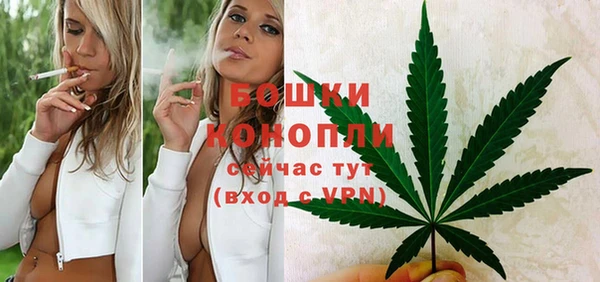 соль ск Вязьма