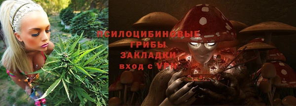 дурь Волосово